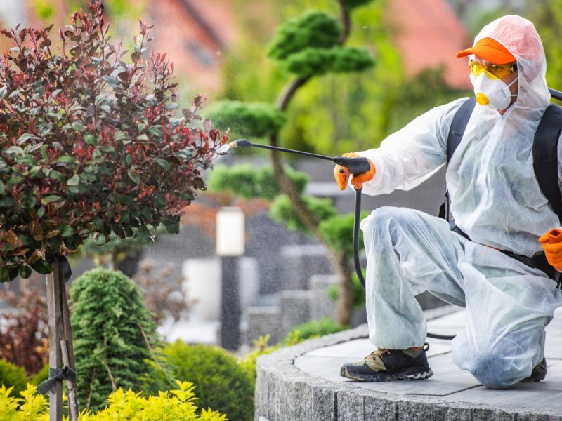 Gediz Haşere İlaçlama